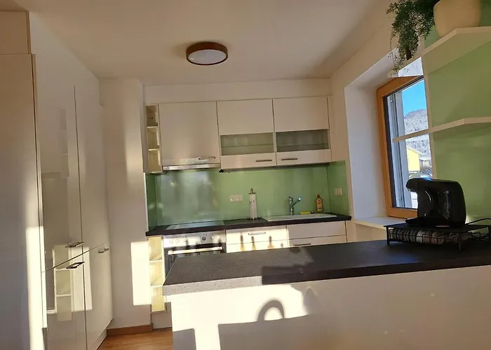 Apartment Bergpanorama *